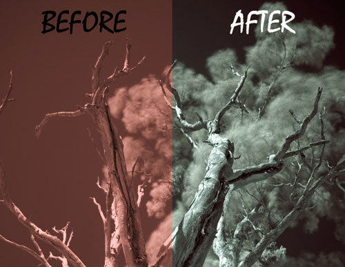 Post-Processing Infrared Photographs in Photoshop